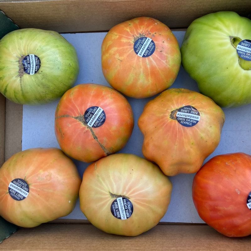 Sabor a Málaga entrega los premios a los ganadores del concurso Comprométete con el tomate’
