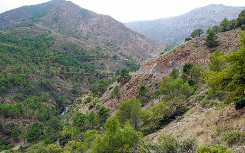 Un equipo de investigadores del CSIC evalúa la conservación del suelo de la Sierra de las Nieves, en Málaga