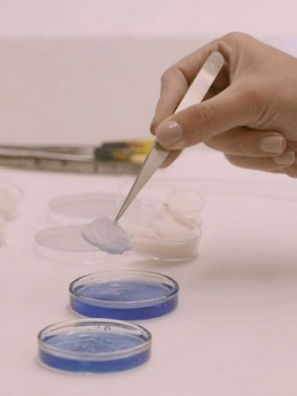 Investigadores del CSIC desarrollan un aerogel biodegradable con aplicaciones en el sector alimentario
