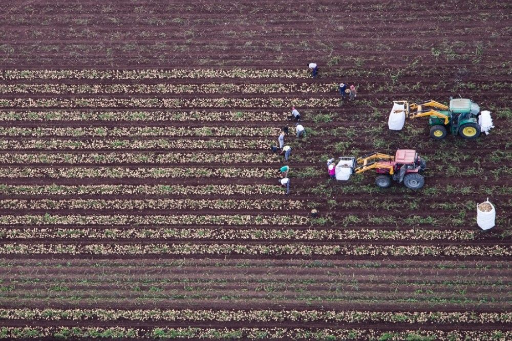 Agricultura convoca el II Concurso fotográfico "Medio Rural y Pesquero en Andalucía 2020"