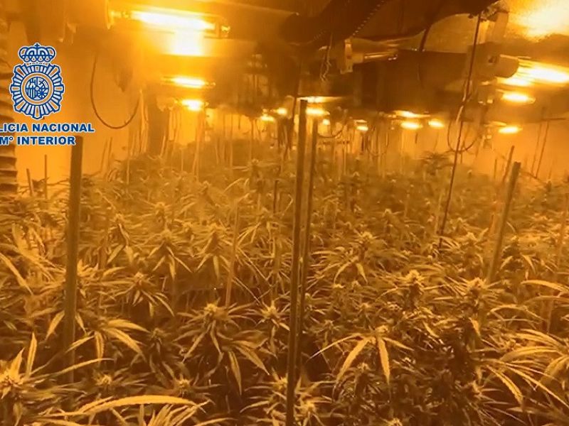 La Policía Nacional libera a tres víctimas de explotación sexual y desarticula un grupo criminal dedicado a la trata de seres humanos y al cultivo de marihuana