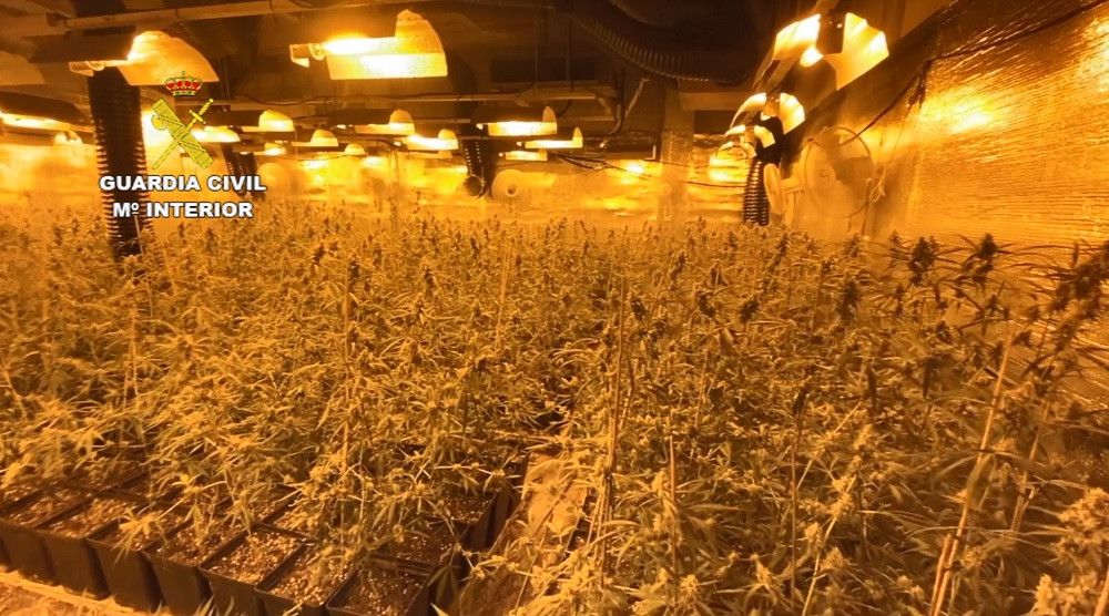 La Guardia Civil desarticula un grupo criminal dedicado al cultivo de marihuana en la provincia de Málaga