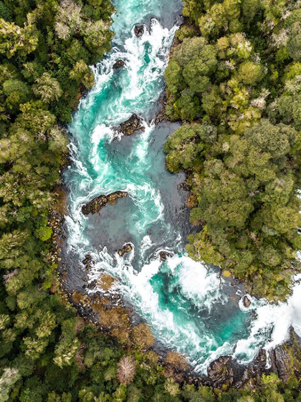 Un proyecto europeo utilizará la ciencia genómica para conservar la biodiversidad
