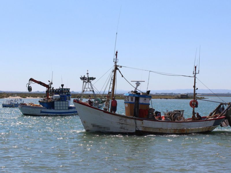 Andalucía convoca nuevas ayudas por la paralización temporal de la actividad pesquera