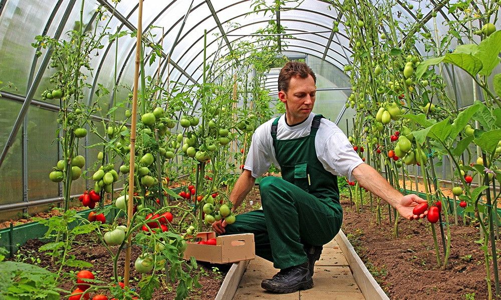 La Comisión Europea flexibiliza el acceso a las ayudas a viticultores y organizaciones de productores de frutas y hortalizas afectados por la sequía