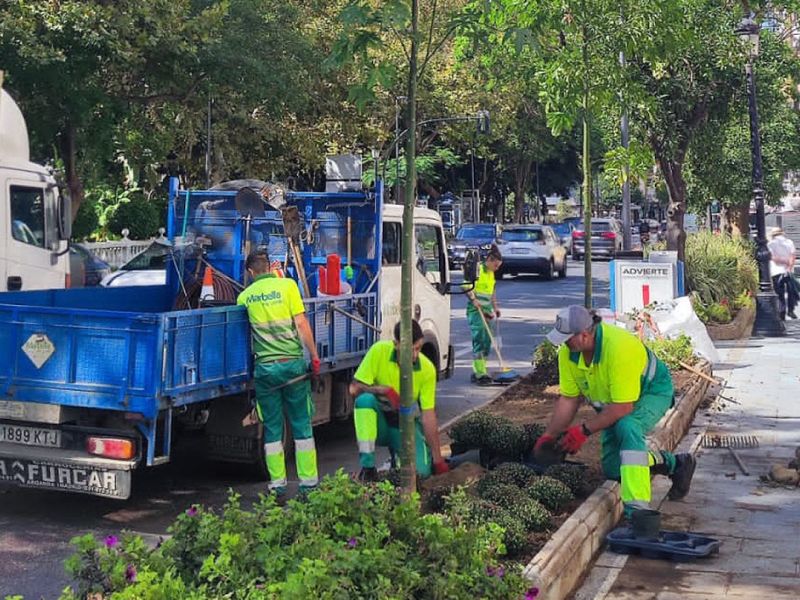 El Ayuntamiento restaura la jardinera afectada por la caída de un árbol de gran porte en Ricardo Soriano