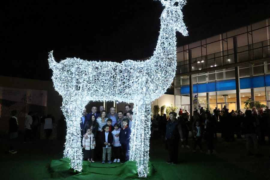 La Diputación da la bienvenida a la Navidad con la inauguración del alumbrado, su belén interactivo y más de 40 actividades en Málaga y provincia
