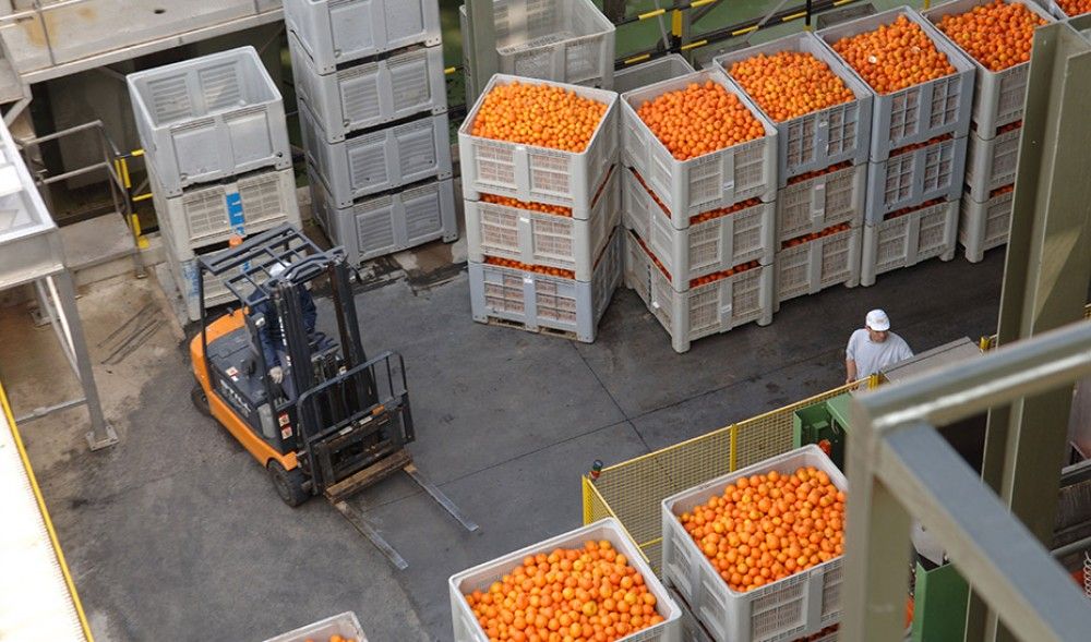 Crecen un 1,1% las exportaciones agroalimentarias andaluzas en el primer semestre del año, con 6.536 millones de euros