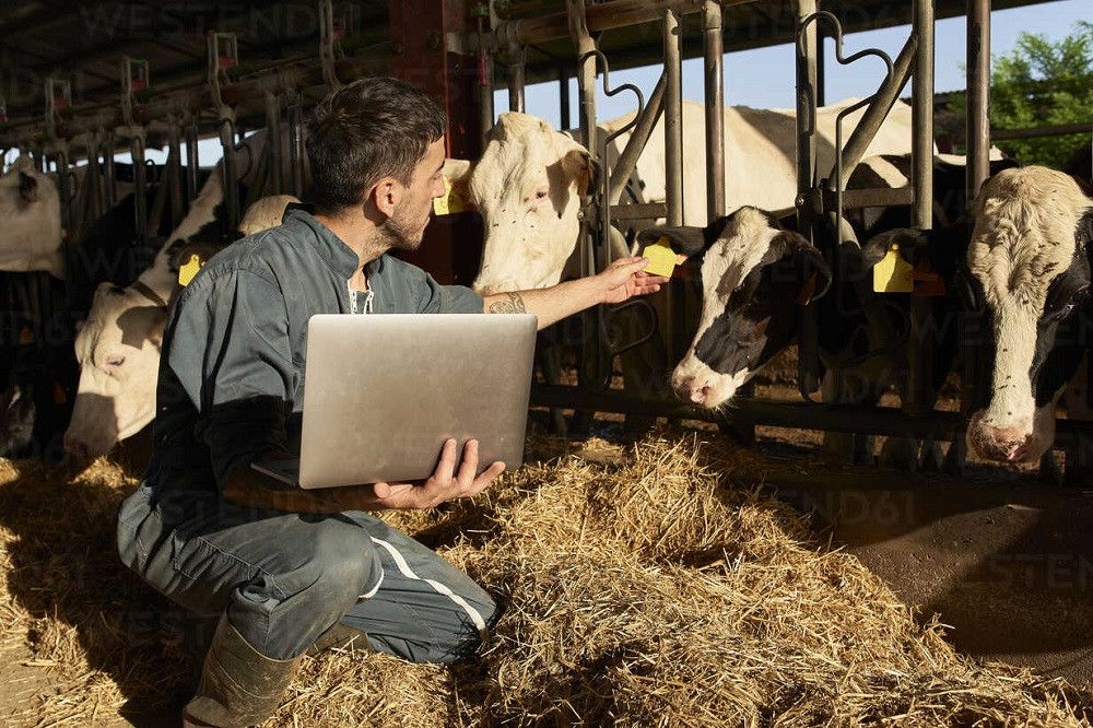 El Ministerio de Agricultura impulsa la creación de un centro nacional de referencia de bienestar animal