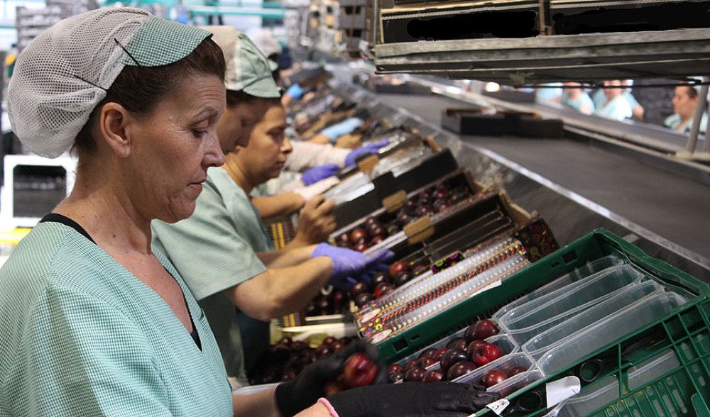 Los beneficiarios del Ingreso Mínimo Vital superan ya los 1,8 millones
