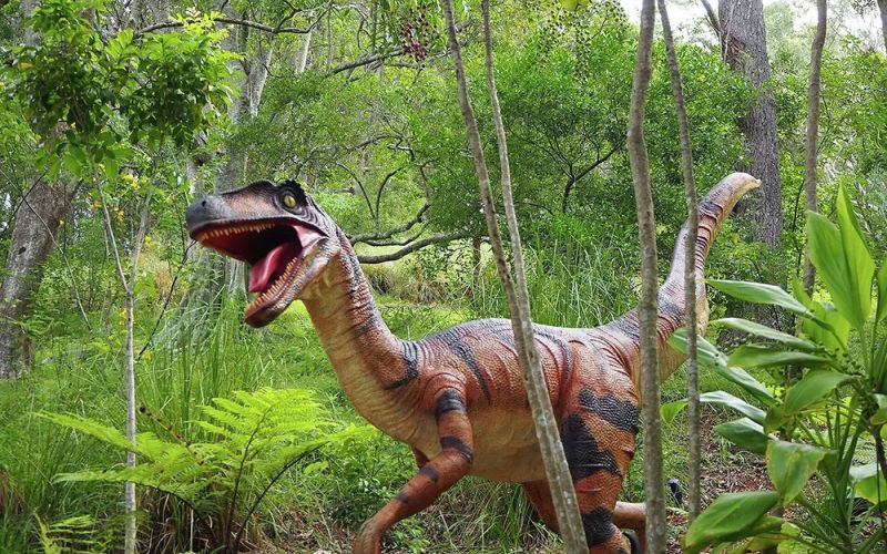 Un fósil revela un dinosaurio sauropodomorfo más pequeño que el ser humano
