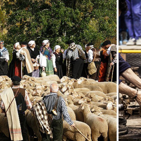 La trashumancia y la técnica del vidrio soplado, candidatas a Lista Representativa de Patrimonio Cultural Inmaterial de la UNESCO
