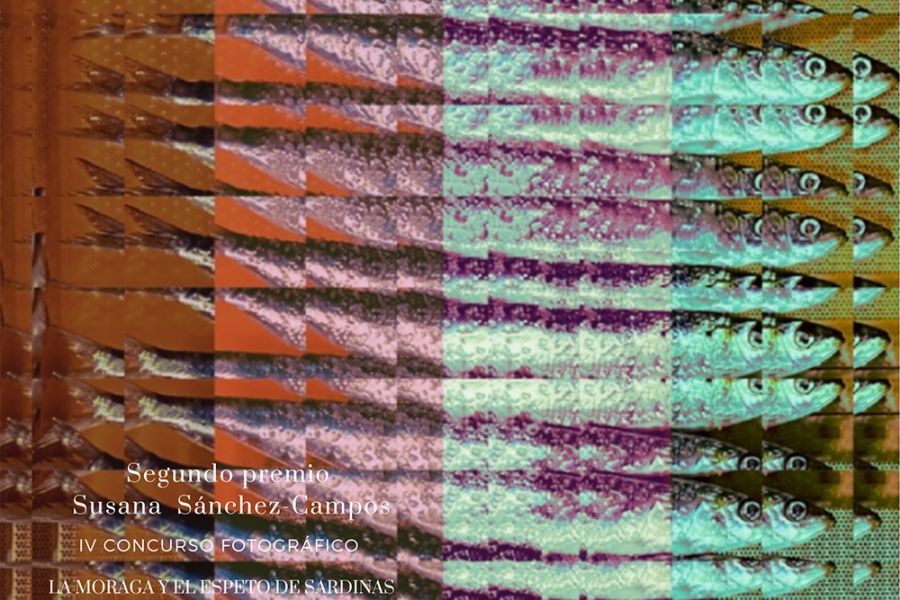 Alberto Villén Benítez, primer premio de la cuarta edición del concurso fotográfico \"La moraga y el espeto de sardinas\"