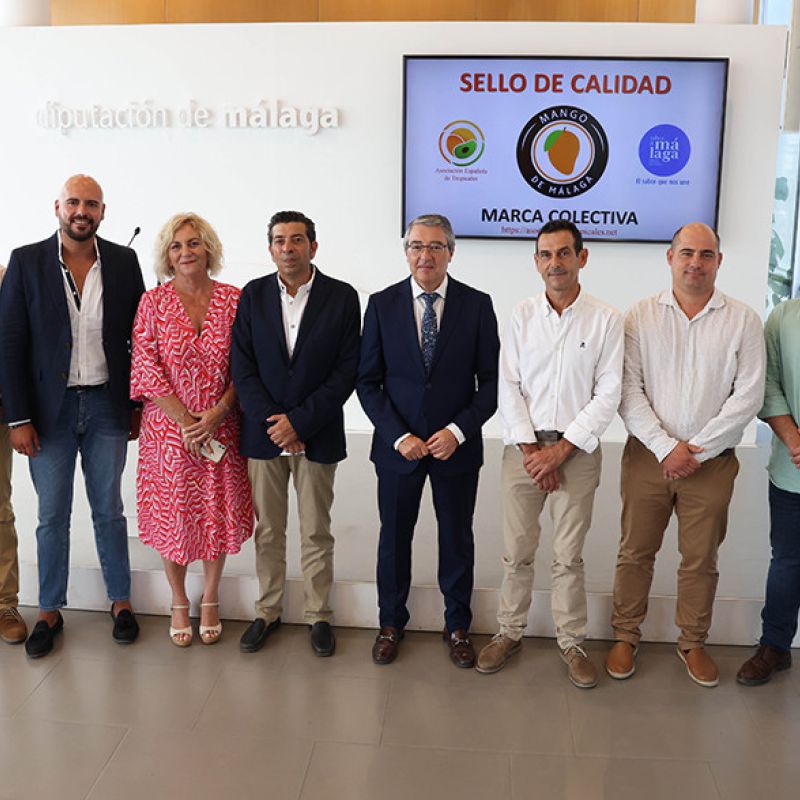 La Diputación impulsa la creación de la marca Mango de Málaga’ para distinguir la calidad en origen de esta fruta cultivada en la Axarquía