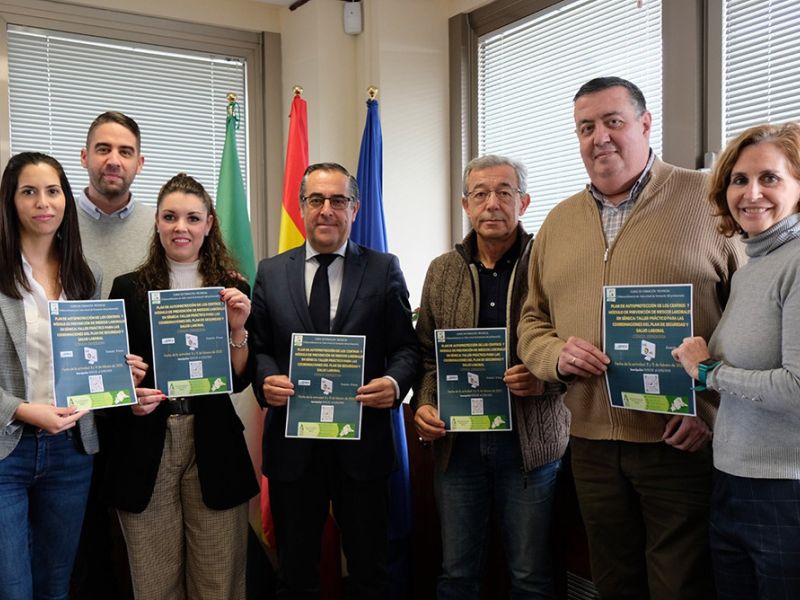 Son 163 los centros educativos de la provincia de Málaga que participan en el Taller para las coordinaciones del Plan de Seguridad y Salud Laboral