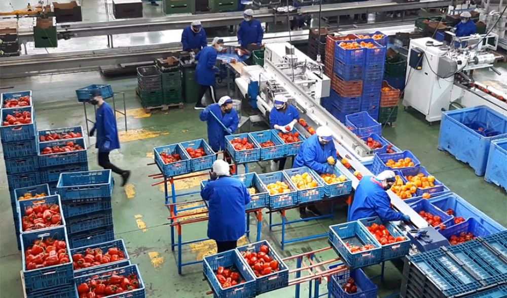 La economía andaluza crece por encima de la española y supera ya el PIB previo a la pandemia