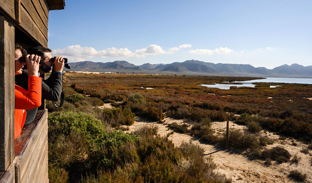 Las Salinas de Cabo de Gata recuperan su "imagen icónica" tras las obras en el canal