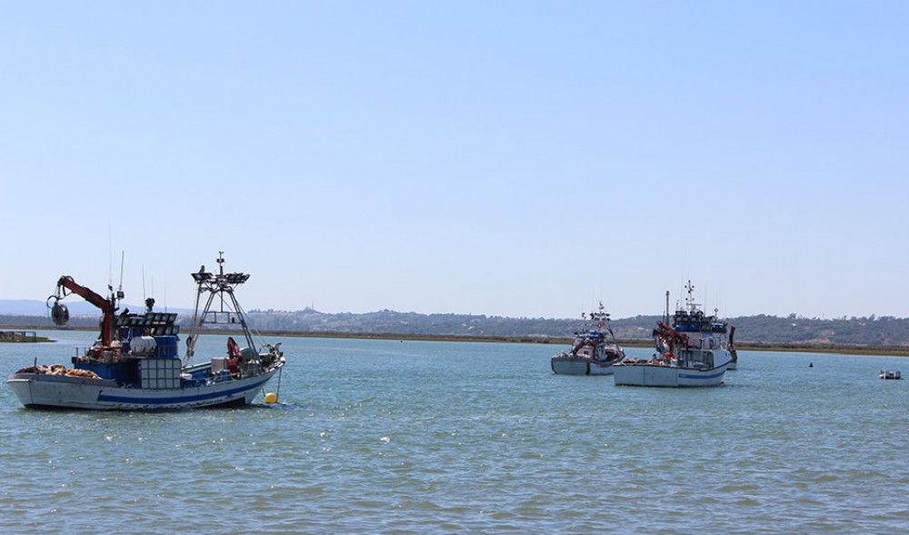 Andalucía logra 15 millones más de fondos europeos para apoyar a la pesca en el marco 2021-2027