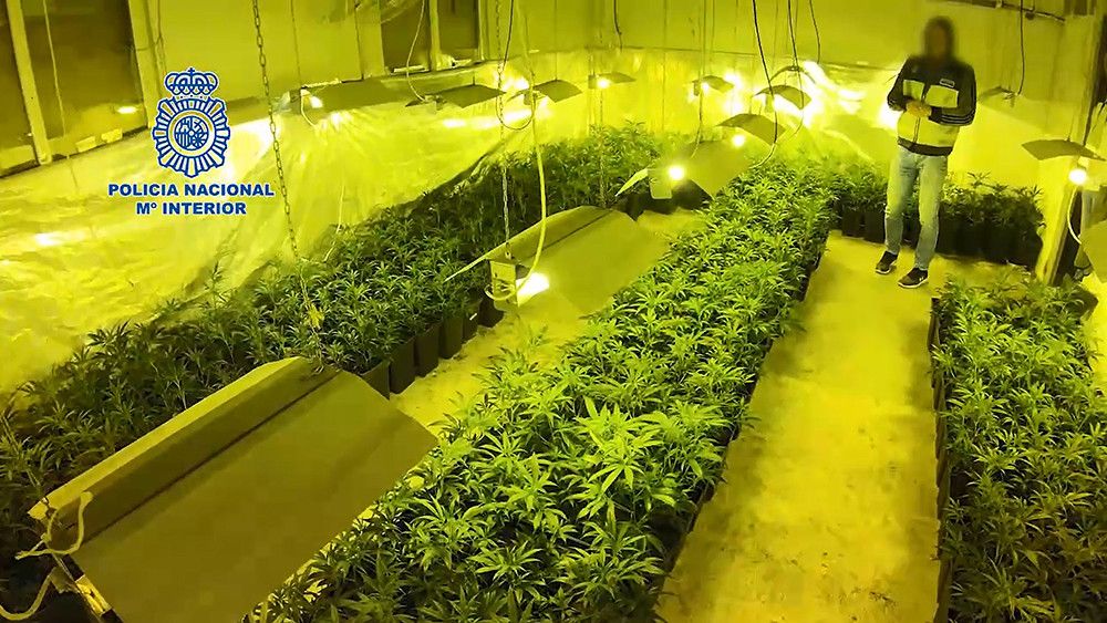 La Policía Nacional desarticula una organización criminal vinculada al clan Kavac dedicada al tráfico de drogas