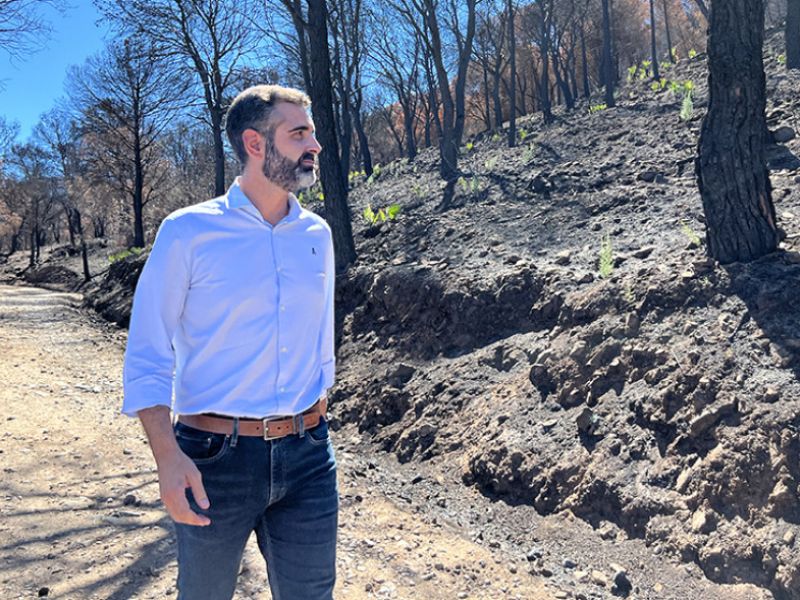 La Junta invertirá cerca de 23 millones de euros para prevenir incendios a través de 31 obras forestales
