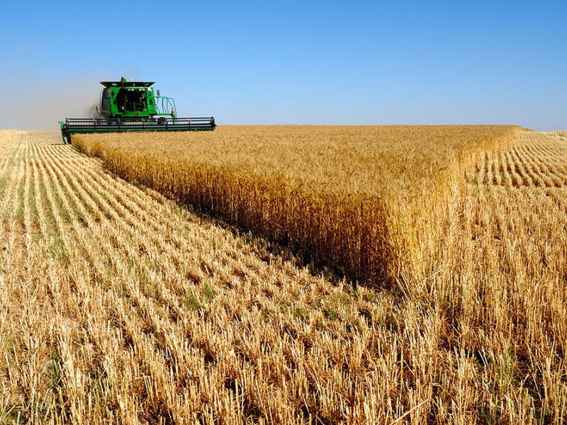 El Gobierno publica la orden de módulos con una rebaja mínima del 25% en el IRPF 2022 para 800.000 agricultores y ganaderos