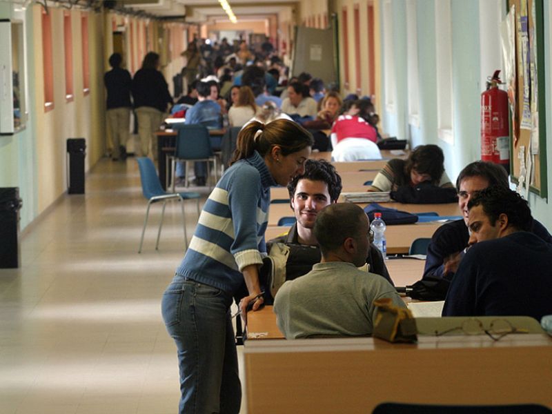 La ordenación de enseñanzas planificará la oferta universitaria cada 4 años y podrá revisarla cada 2