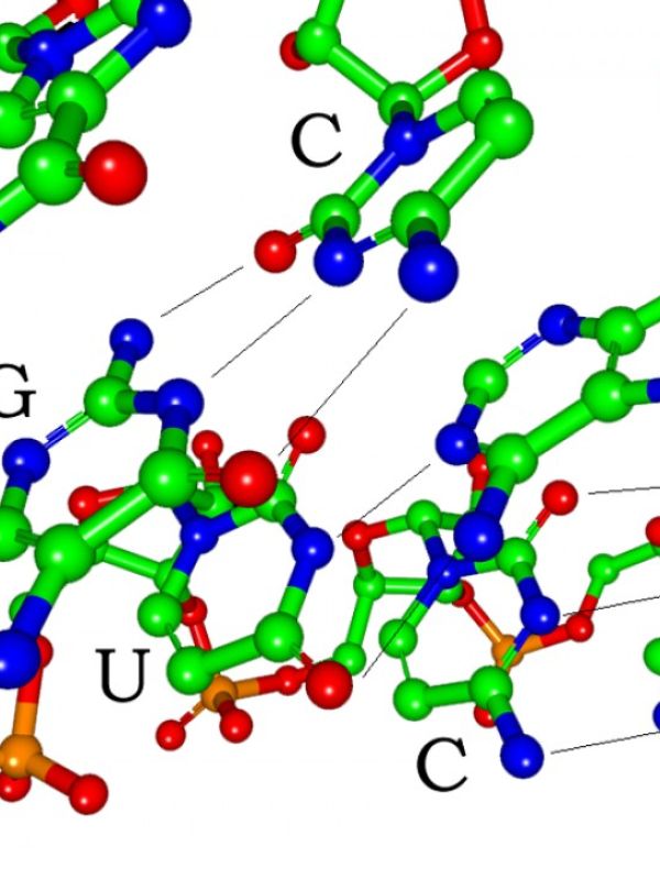 La química del ARN puede ser la clave en nuevos tratamientos del cáncer