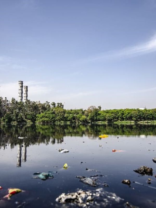 Un estudio del CSIC indica que las zonas naturales empiezan a estar tan contaminadas como las ciudades