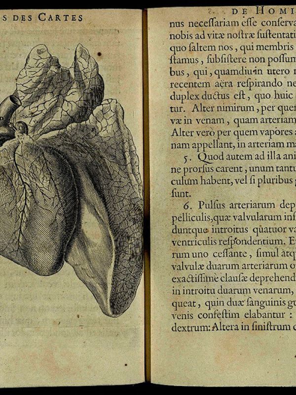 El CSIC digitaliza tres incunables de un importante gabinete de curiosidades de botánica y medicina