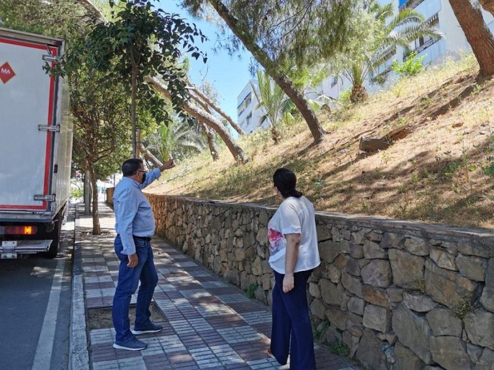 El PSOE advierte del peligro que supone el estado en que se encuentra la arboleda de Boquerón y Maíz Viñals