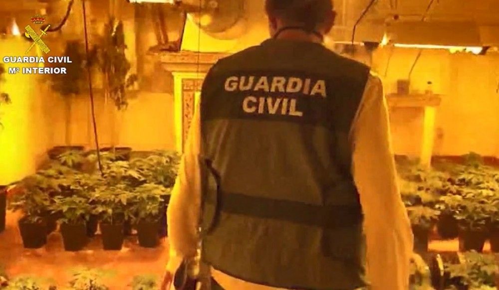 La Guardia Civil detiene a 26 personas dedicadas al cultivo de marihuana en la Comarca de Antequera