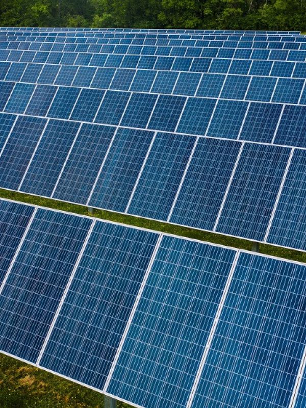 Anticuerpos monoclonales, placas fotovoltaicas y nanomateriales para el espacio y la medicina, entre las nuevas empresas tecnológicas del CSIC