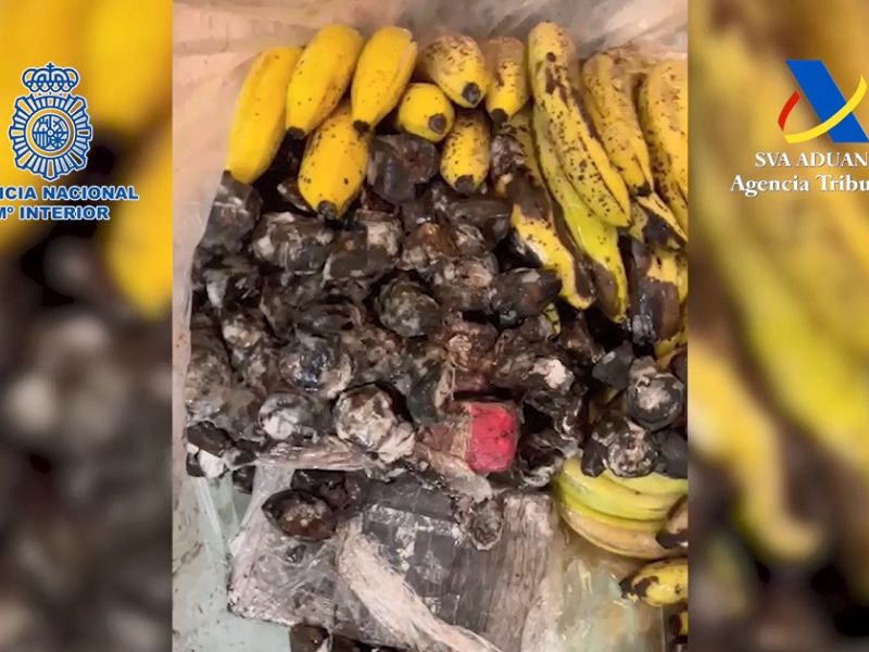 Incautados en el puerto de Málaga más de 600 kilos de cocaína ocultos en un cargamento de plátanos