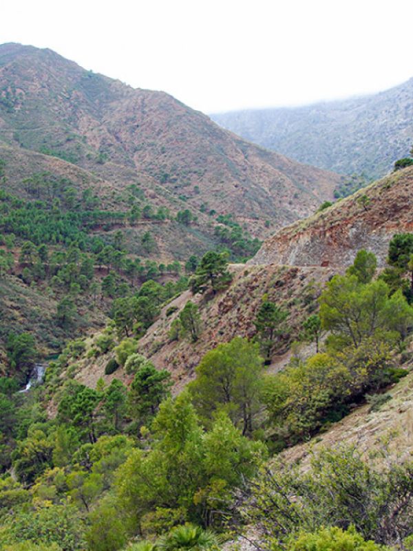 Un equipo de investigadores del CSIC evalúa la conservación del suelo de la Sierra de las Nieves, en Málaga
