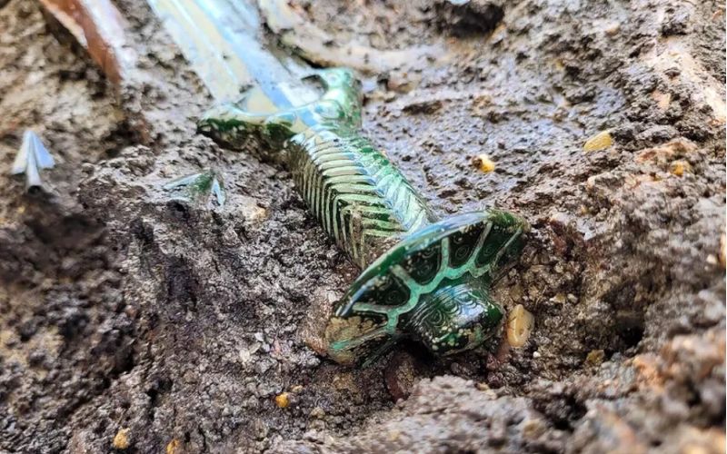 Descubren en Alemania una espada "extremadamente rara" y bien conservada de 3.000 años de antigüedad