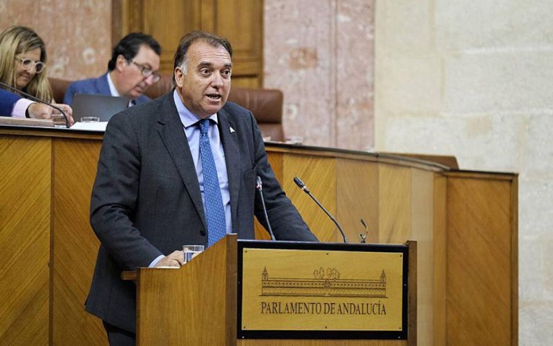 El Consejo Andaluz de la Cultura celebrará su primera reunión en 2024