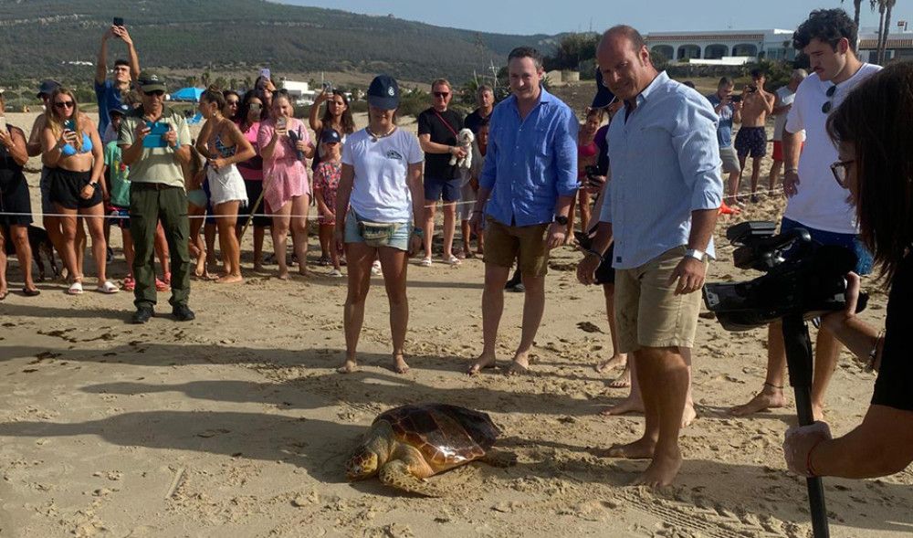 Otras cinco tortugas recuperadas vuelven a su medio natural en la playa de Bolonia