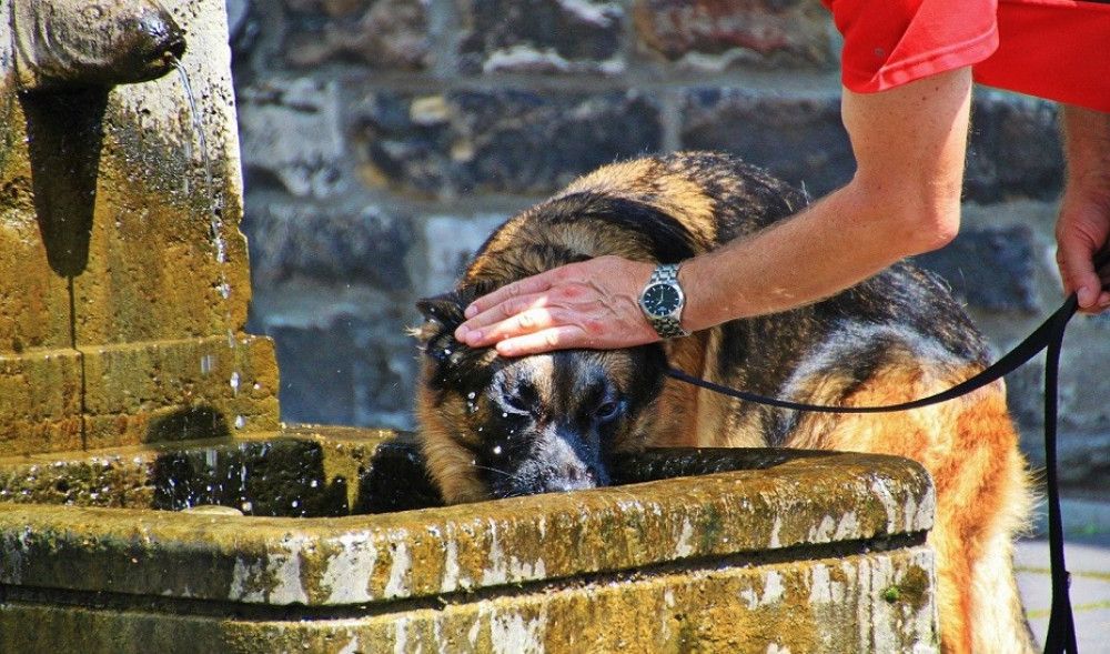 La Aemet activa hoy el aviso naranja por calor en Córdoba, Jaén y Málaga