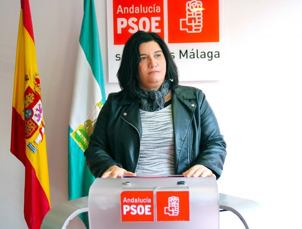 El PSOE pide al Ayuntamiento que impulse el programa ERACIS de ayuda a familias desfavorecidas de Marbella