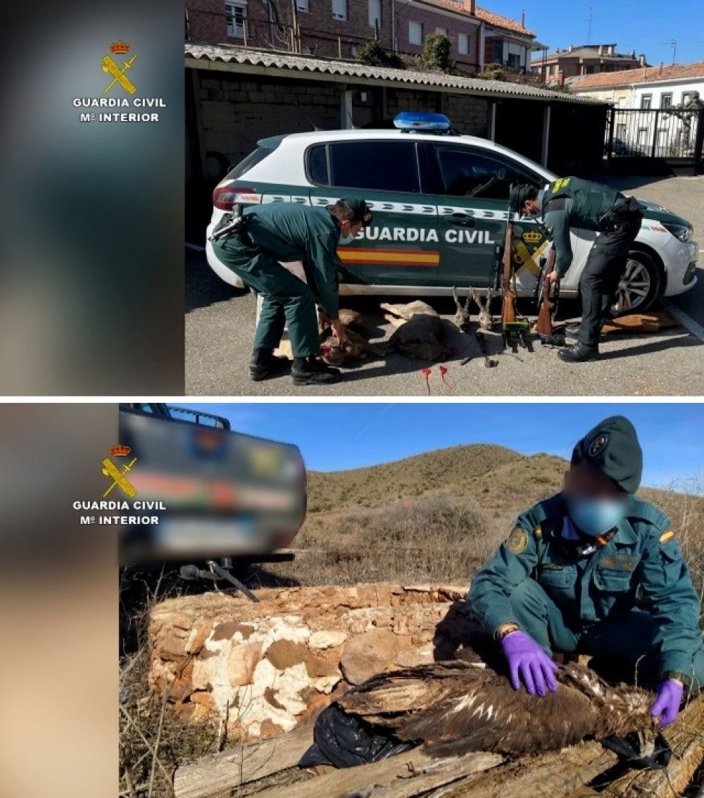 La Guardia Civil detiene y/o investiga a más de 300 personas por delitos contra la biodiversidad