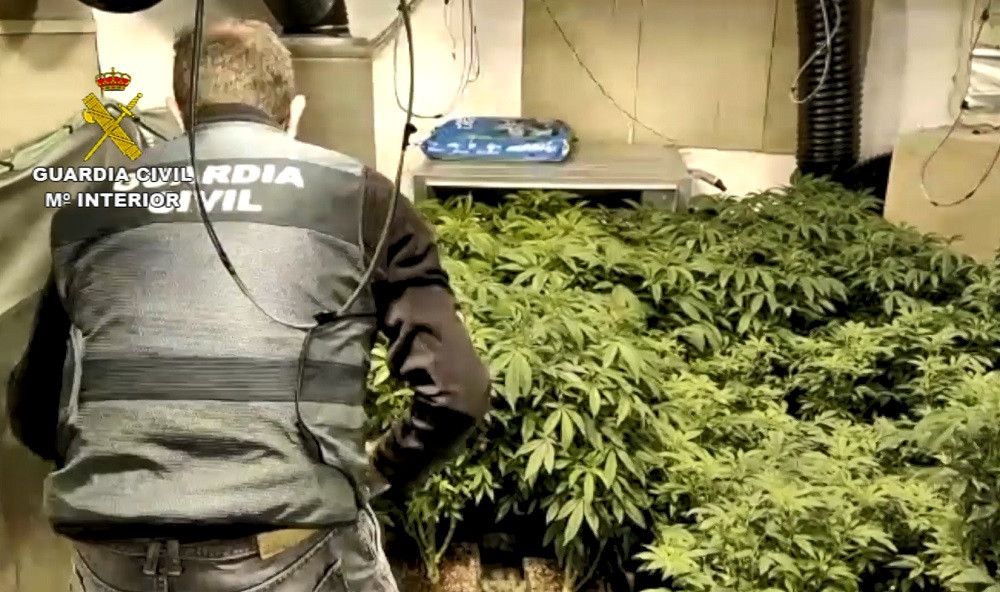 La Guardia Civil desarticula una organización criminal dedicada al cultivo "indoor" de marihuana en Mijas y Pizarra