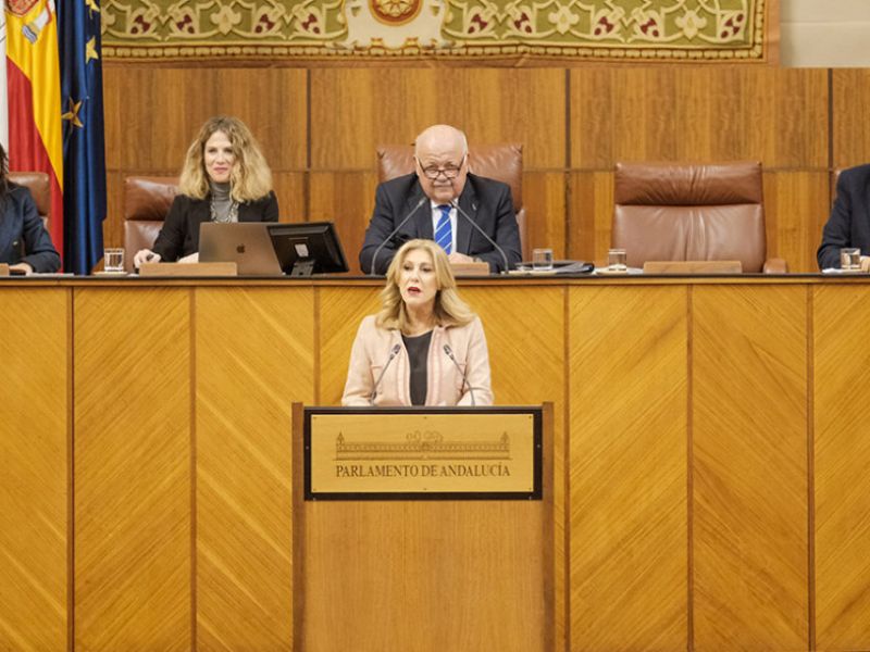 La Ley del nuevo Plan Estadístico y Cartográfico supera el debate de totalidad en el Parlamento