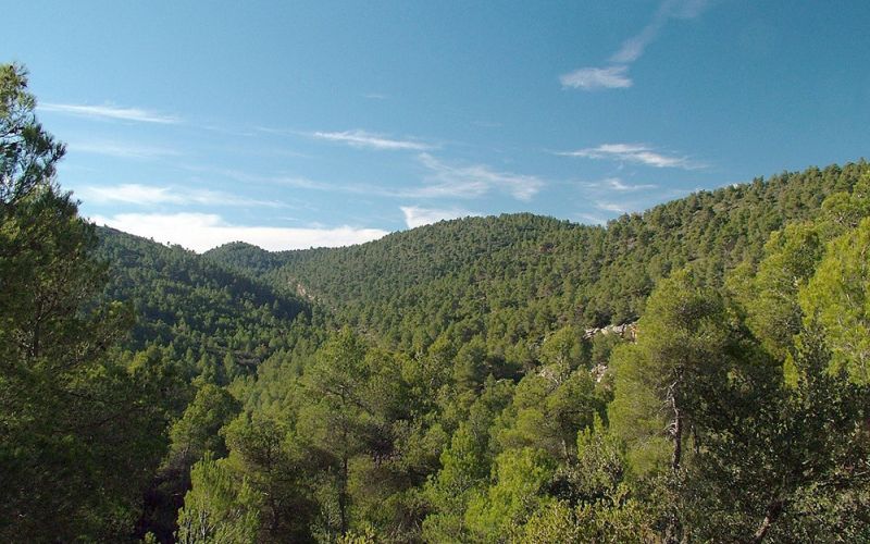 El secuestro de carbono está en riesgo de desestabilizarse en grandes regiones del planeta