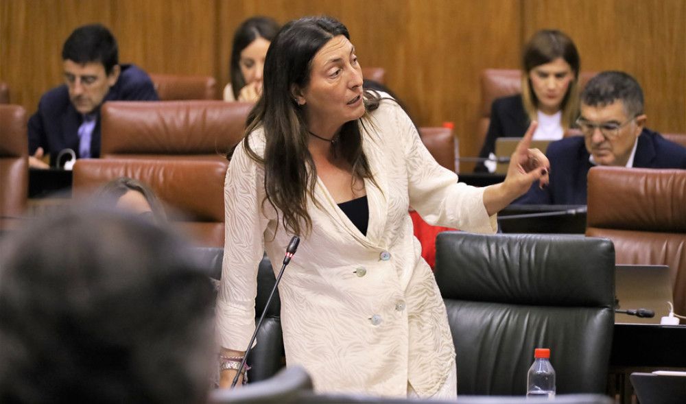 Inclusión Social y ayuntamientos trabajan ya en el primer censo de personas en asentamientos