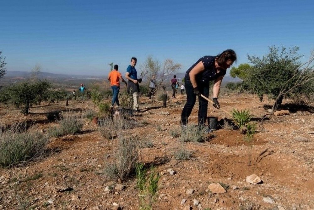 Premiado el proyecto Málaga Viva’, iniciativa de la Diputación para luchar contra el cambio climático