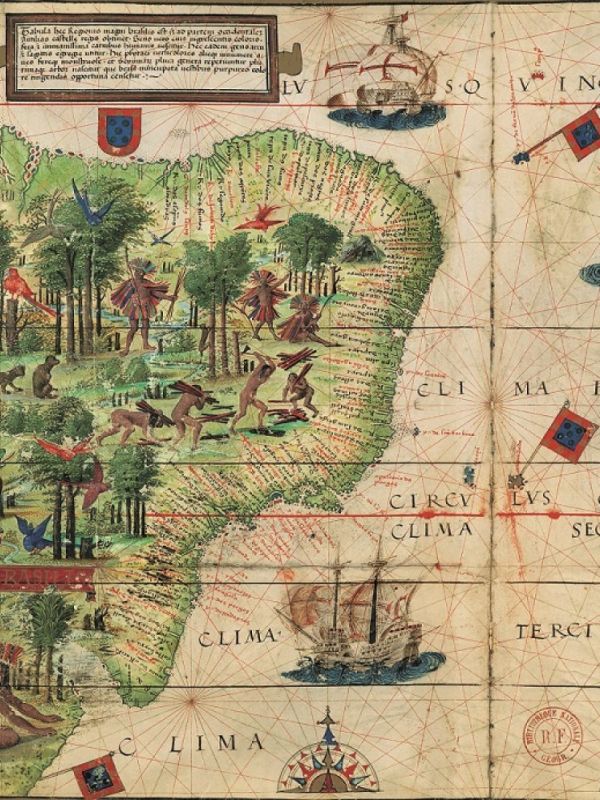 Los hallazgos botánicos de la expedición de Magallanes y Elcano protagonizan un nuevo libro del CSIC