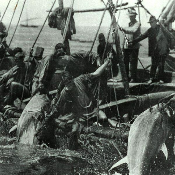 La importancia histórica de la pesca, los salazones y el garum en la economía andaluza