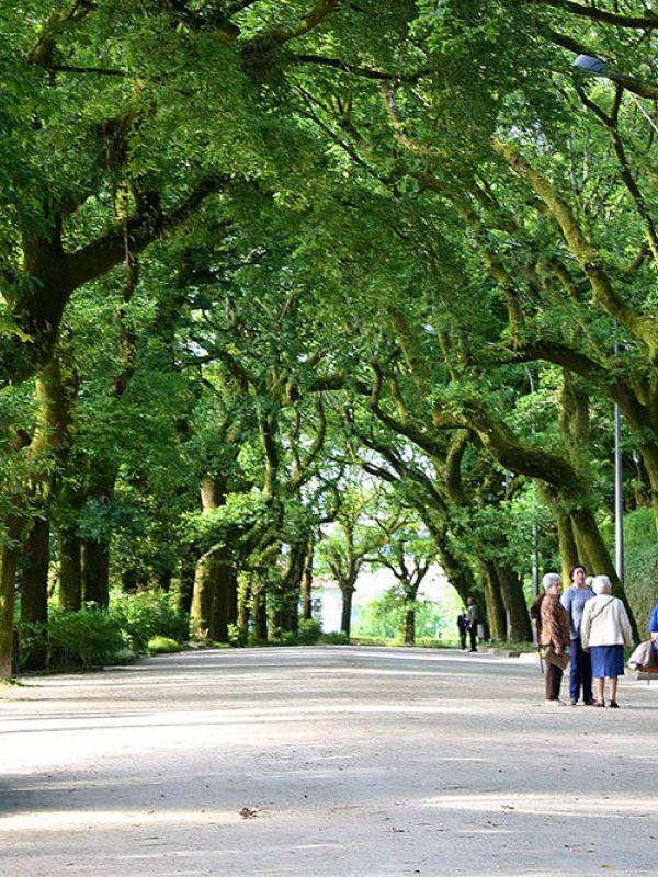 Los organismos del suelo son esenciales para el mantenimiento de parques y jardines