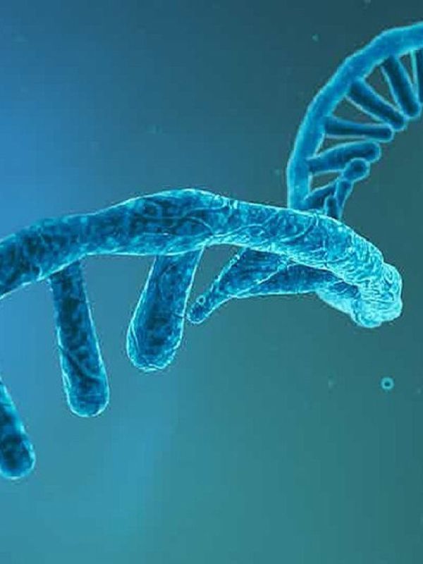 Identifican más de 20.000 nuevos agentes infecciosos de ARN circular