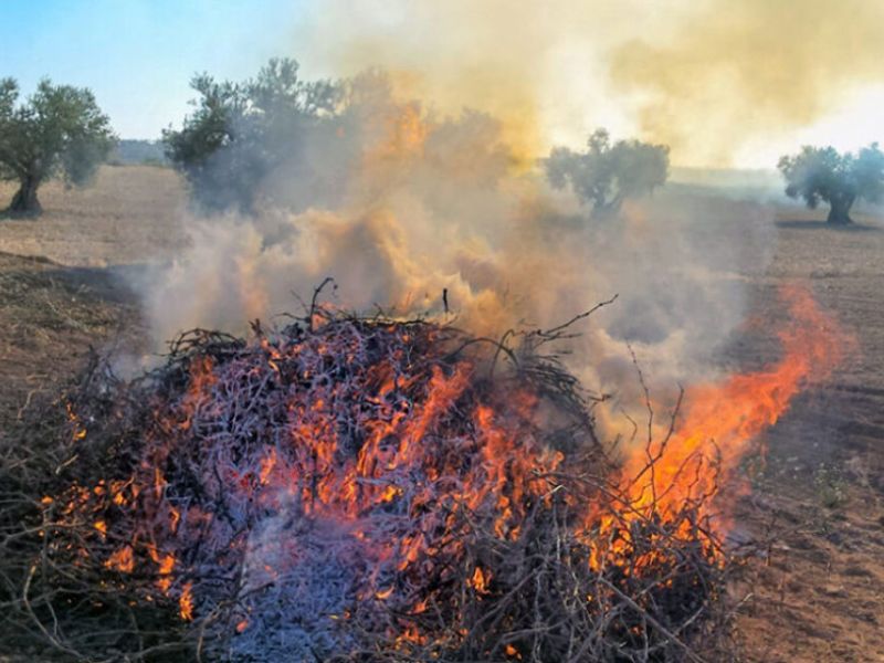 Prolongada la prohibición de quemas agrícolas para prevenir incendios forestales hasta el 15 de octubre